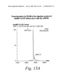 Novel fungal proteins and nucleic acids encoding same diagram and image