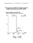 Novel fungal proteins and nucleic acids encoding same diagram and image