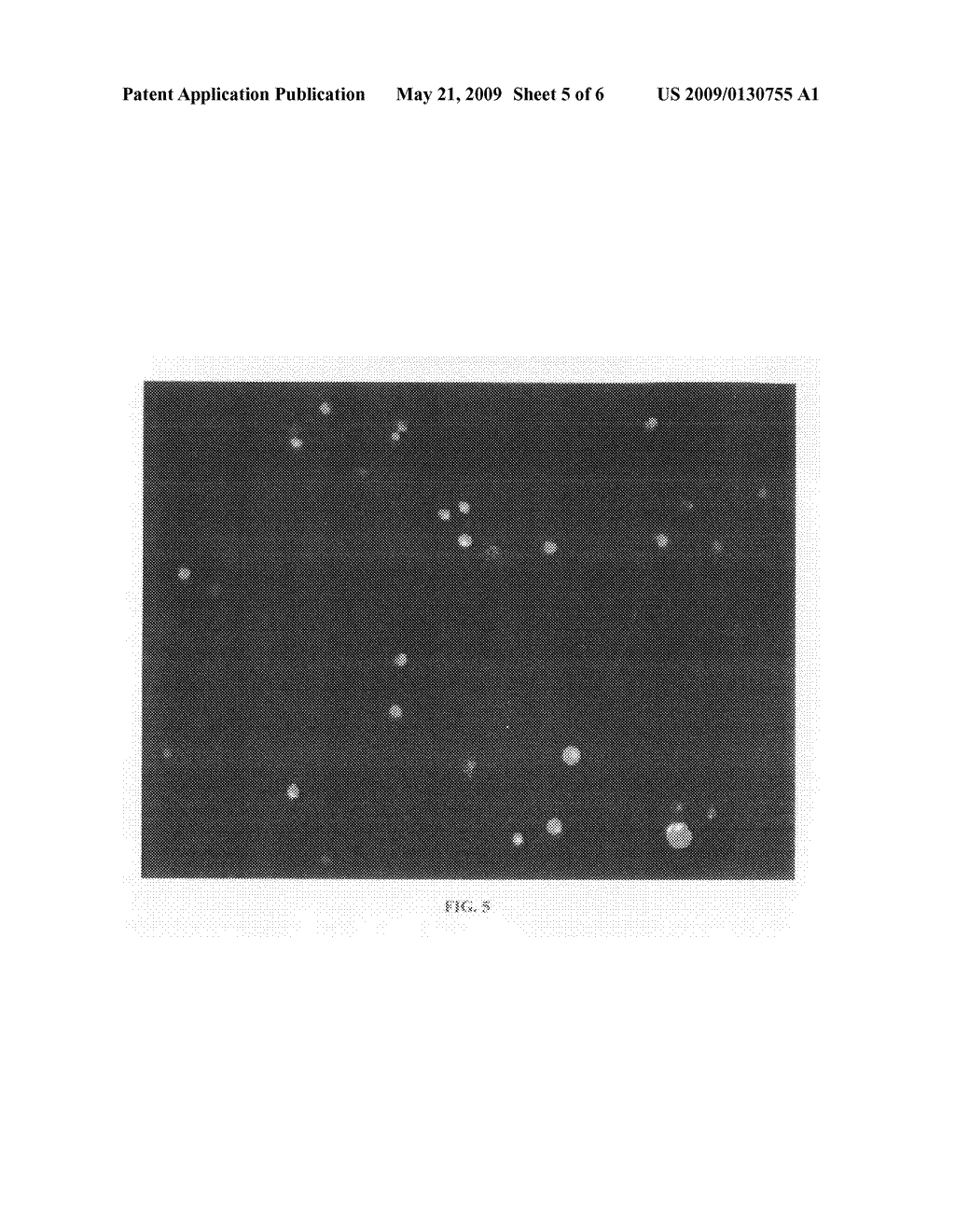 Hydrogel networks having living cells encapsulated therein - diagram, schematic, and image 06