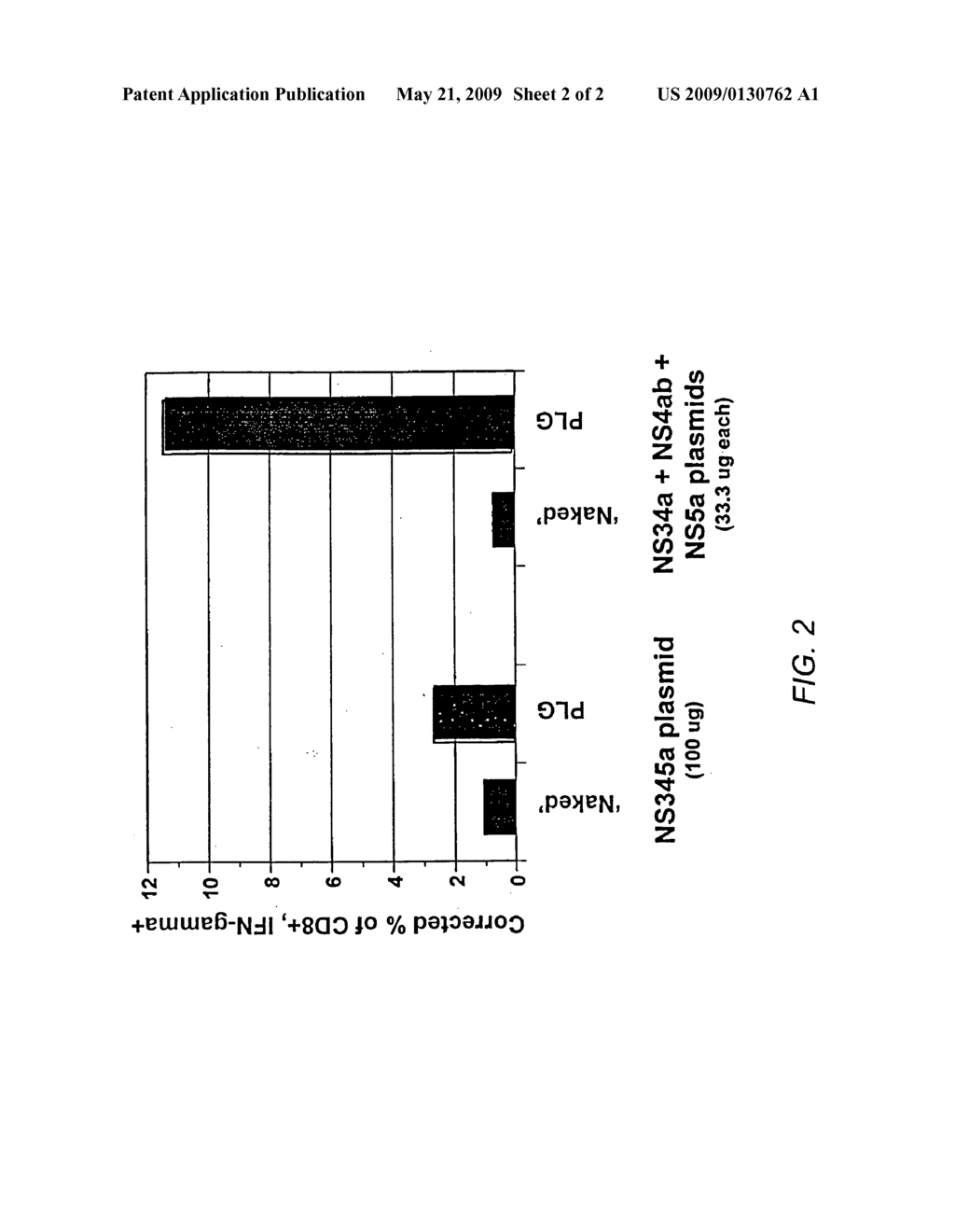 Activation of HCV-specific T cells - diagram, schematic, and image 03