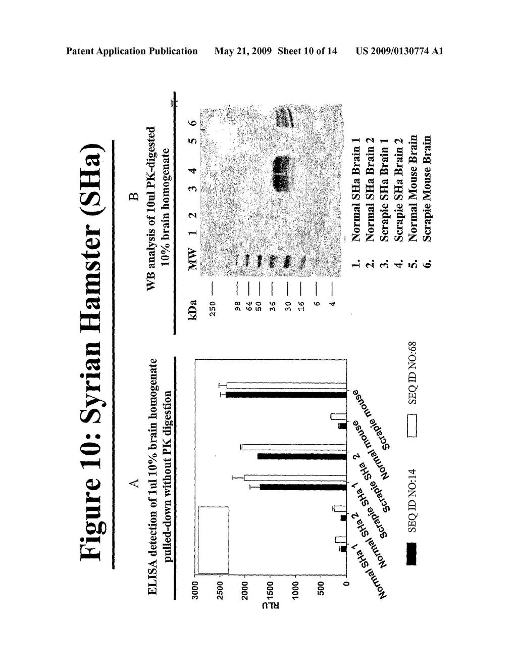 Elisa assays using prion-specific peptide reagents - diagram, schematic, and image 11