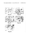 FURIN INHIBITORS diagram and image