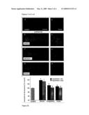 COMPOUNDS HAVING NEUROPROTECTIVE PROPERTIES diagram and image