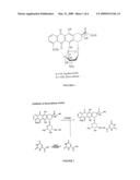 Compositions and methods of reducing tissue levels of drugs when given as orotate derivatives diagram and image