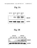 Novel Use of MLN51 Gene and Protein diagram and image