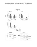 Novel Use of MLN51 Gene and Protein diagram and image