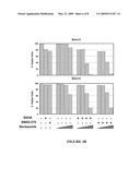 Combinations of HDAC Inhibitors and Proteasome Inhibitors diagram and image