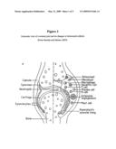 Fused pyrazine compounds useful for the treatment of degenerative and inflmmatory diseases diagram and image