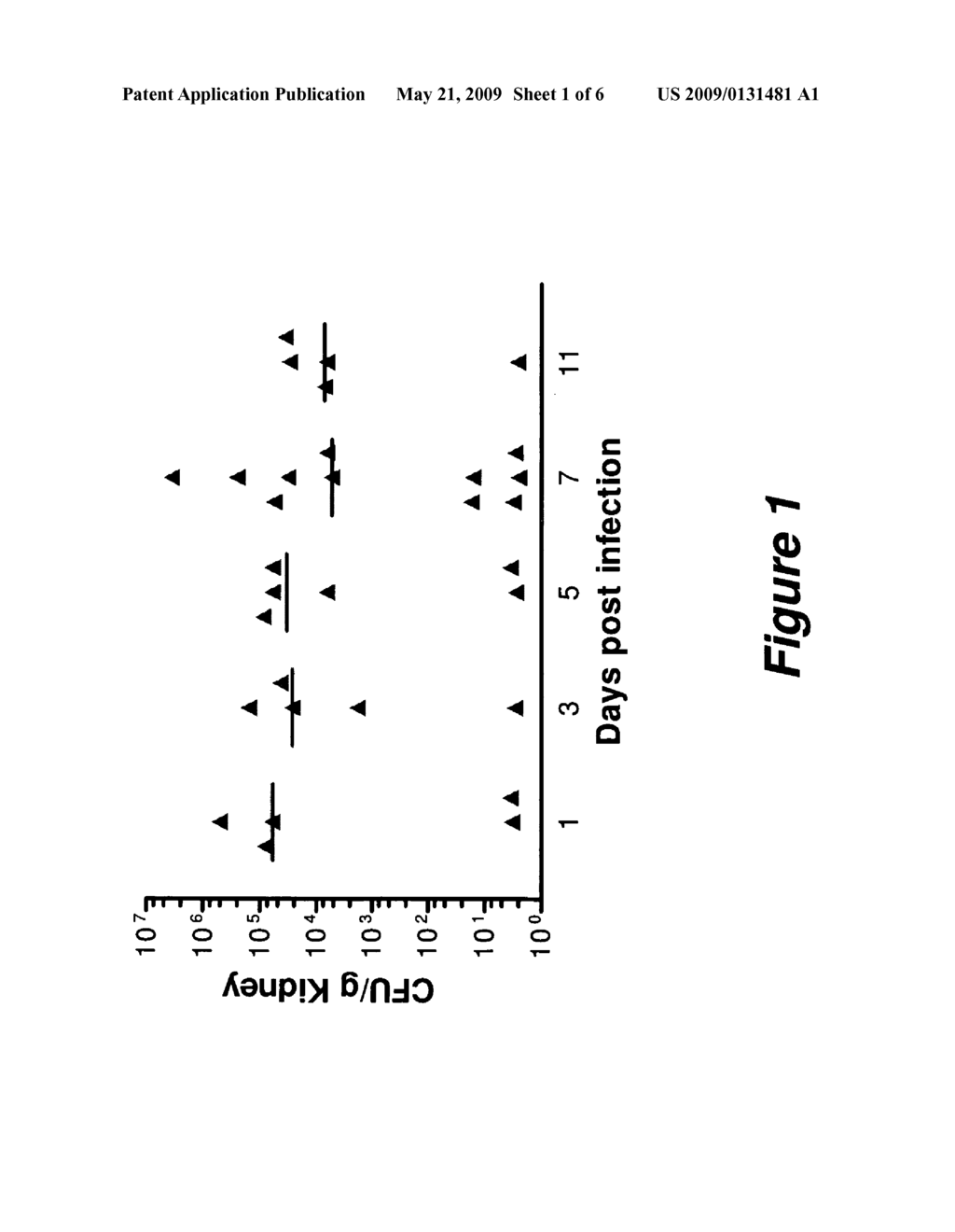 Transcription Factor Modulating Compounds and Methods of Use Thereof - diagram, schematic, and image 02