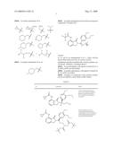 7-Amido-isoindolyl Compounds and Their Pharmaceutical Uses diagram and image