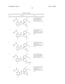 7-Amido-isoindolyl Compounds and Their Pharmaceutical Uses diagram and image