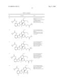 7-Amido-isoindolyl Compounds and Their Pharmaceutical Uses diagram and image