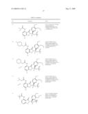 7-Amido-isoindolyl Compounds and Their Pharmaceutical Uses diagram and image