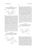 7-Amido-isoindolyl Compounds and Their Pharmaceutical Uses diagram and image