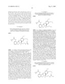 7-Amido-isoindolyl Compounds and Their Pharmaceutical Uses diagram and image