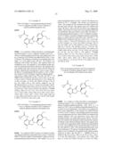 7-Amido-isoindolyl Compounds and Their Pharmaceutical Uses diagram and image