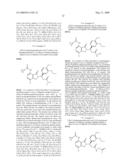 7-Amido-isoindolyl Compounds and Their Pharmaceutical Uses diagram and image
