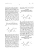 7-Amido-isoindolyl Compounds and Their Pharmaceutical Uses diagram and image