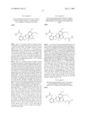 7-Amido-isoindolyl Compounds and Their Pharmaceutical Uses diagram and image