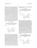 7-Amido-isoindolyl Compounds and Their Pharmaceutical Uses diagram and image