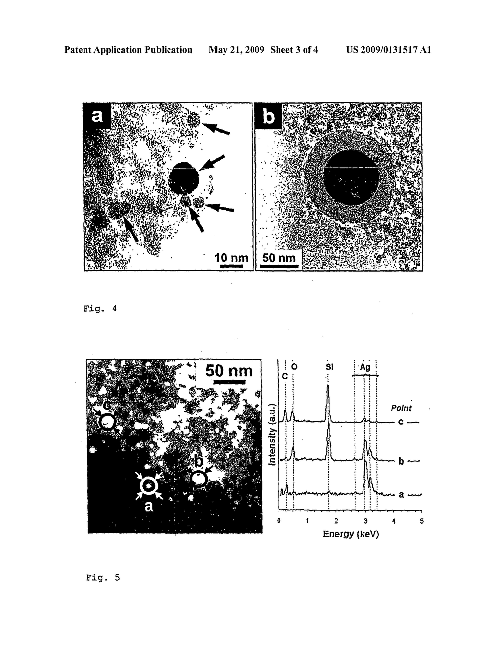 Antimicrobial and Antifungal Powders Made by Flame Spray Pyrolysis - diagram, schematic, and image 04