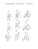 PROPARGYLAMINO INDAN DERIVATIVES AND PROPARGYLAMINO TETRALIN DERIVATIVES AS BRAIN-SELECTIVE MAO INHIBITORS diagram and image