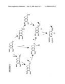 PROPARGYLAMINO INDAN DERIVATIVES AND PROPARGYLAMINO TETRALIN DERIVATIVES AS BRAIN-SELECTIVE MAO INHIBITORS diagram and image