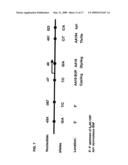 Methods for detecting nucleic acid sequence variations diagram and image