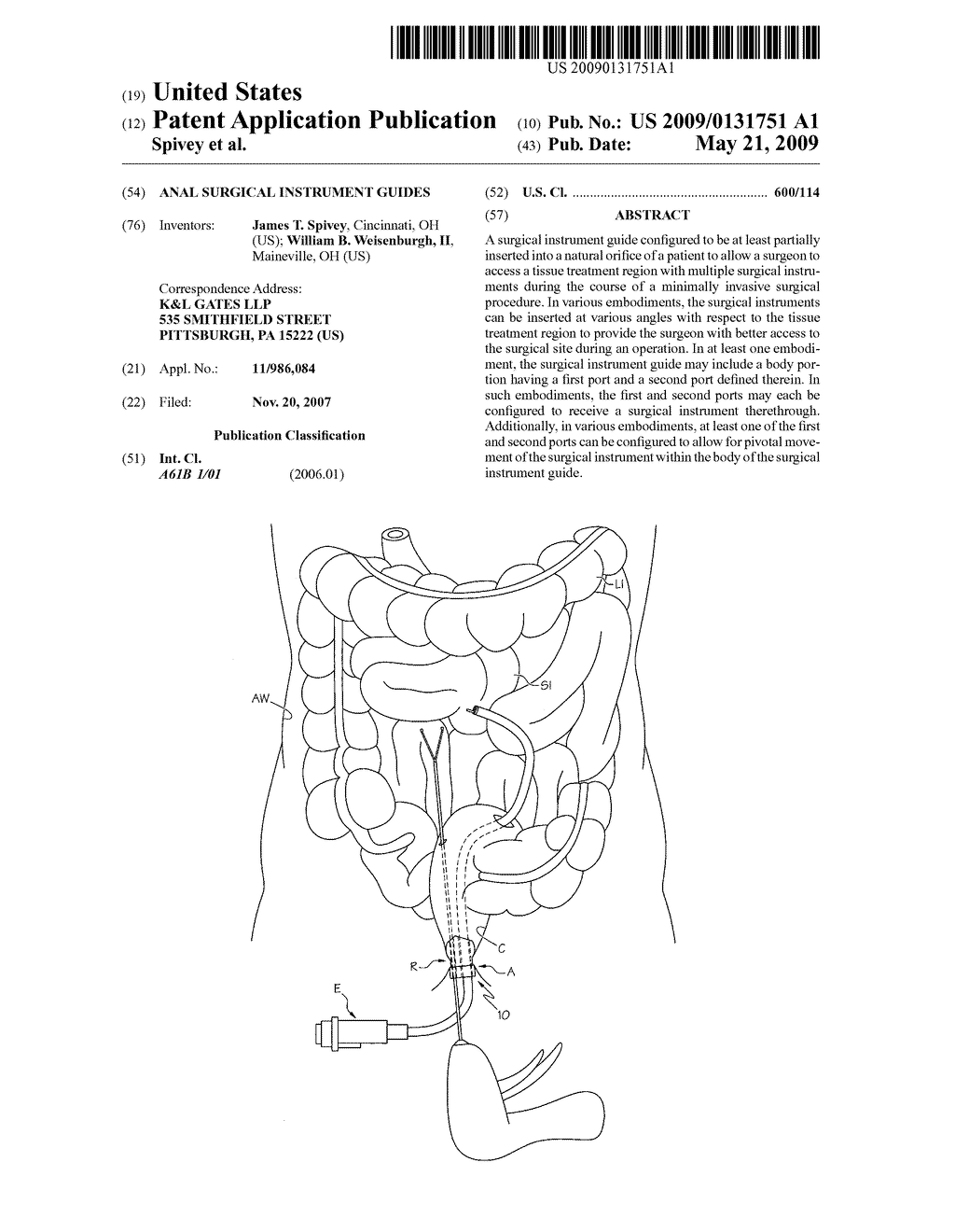 Anal surgical instrument guides - diagram, schematic, and image 01