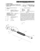 Implant Delivery System and Method diagram and image