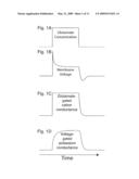 Prediction by Single Neurons and Networks diagram and image