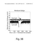 Prediction by Single Neurons and Networks diagram and image