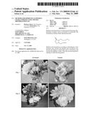 Methods for Improving Flowering Characteristics Using Methyl Dihydrojasmonate diagram and image