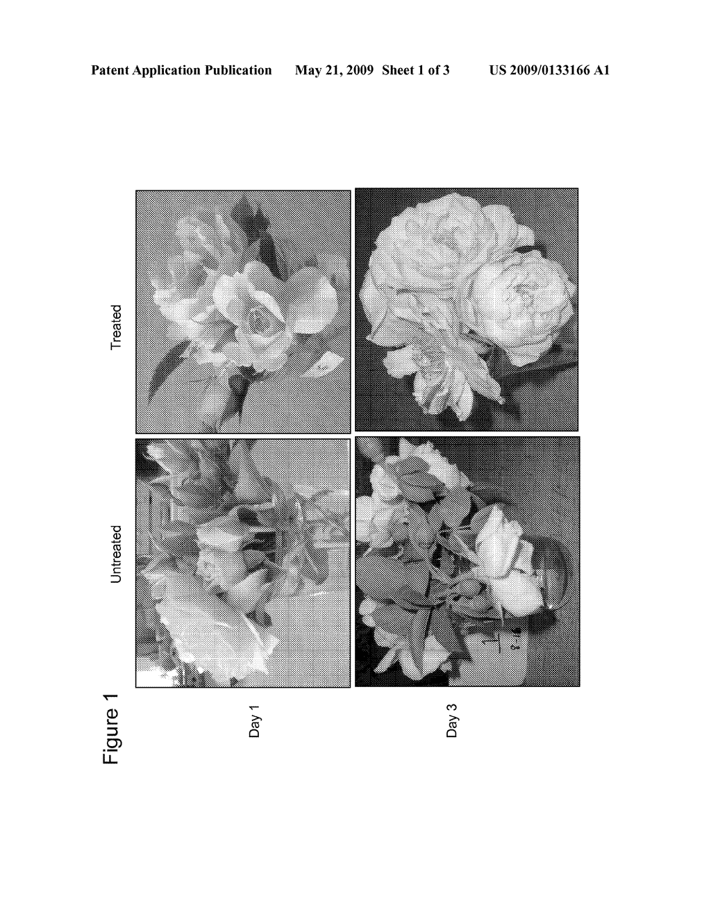 Methods for Improving Flowering Characteristics Using Methyl Dihydrojasmonate - diagram, schematic, and image 02