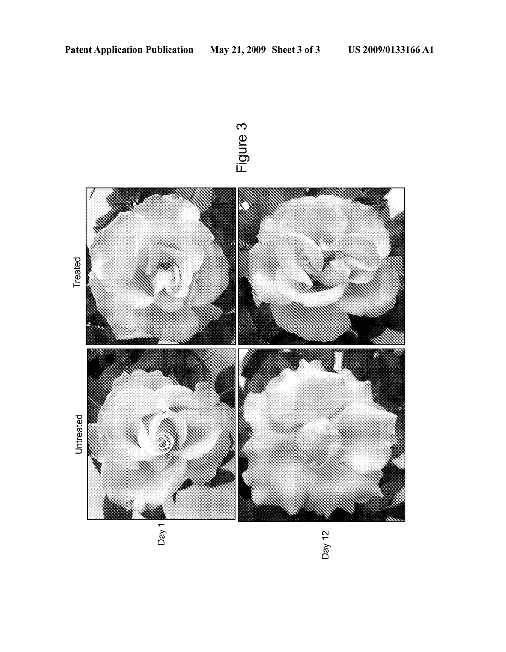 Methods for Improving Flowering Characteristics Using Methyl Dihydrojasmonate - diagram, schematic, and image 04