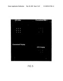 METHOD FOR PRODUCING HOMOGENEOUS FINE GRAIN TITANIUM MATERIALS SUITABLE FOR ULTRASONIC INSPECTION diagram and image