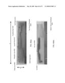 Metamaterial Structures with Multilayer Metallization and Via diagram and image