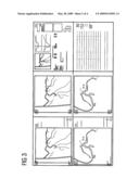 EMERGENCY PROVISION WHEN USING A LARGE DISPLAY diagram and image