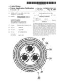 Superconducting Wire Inspection Apparatus and Method diagram and image