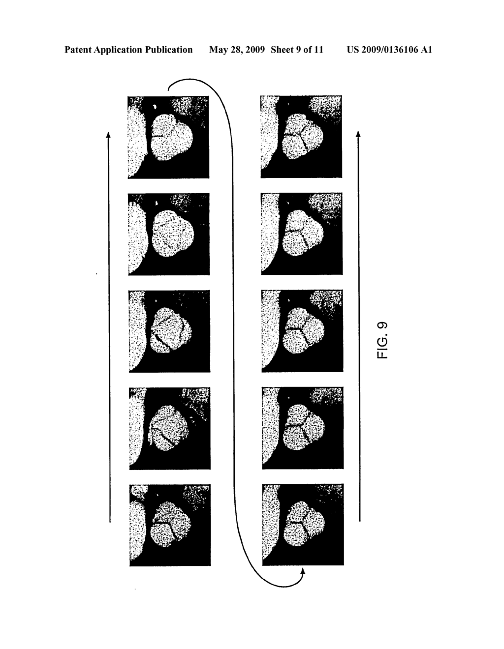 VOLUME RENDERING APPARATUS AND METHOD - diagram, schematic, and image 10