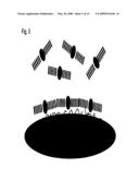 METHODS, MATERIALS AND DEVICES FOR LIGHT MANIPULATION WITH ORIENTED MOLECULAR ASSEMBLIES IN MICRONSCALE PHOTONIC CIRCUIT ELEMENTS WITH HIGH-Q OR SLOW LIGHT diagram and image