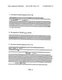 TARGETING OF HERPES SIMPLEX VIRUS TO SPECIFIC RECEPTORS diagram and image