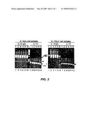 TARGETING OF HERPES SIMPLEX VIRUS TO SPECIFIC RECEPTORS diagram and image