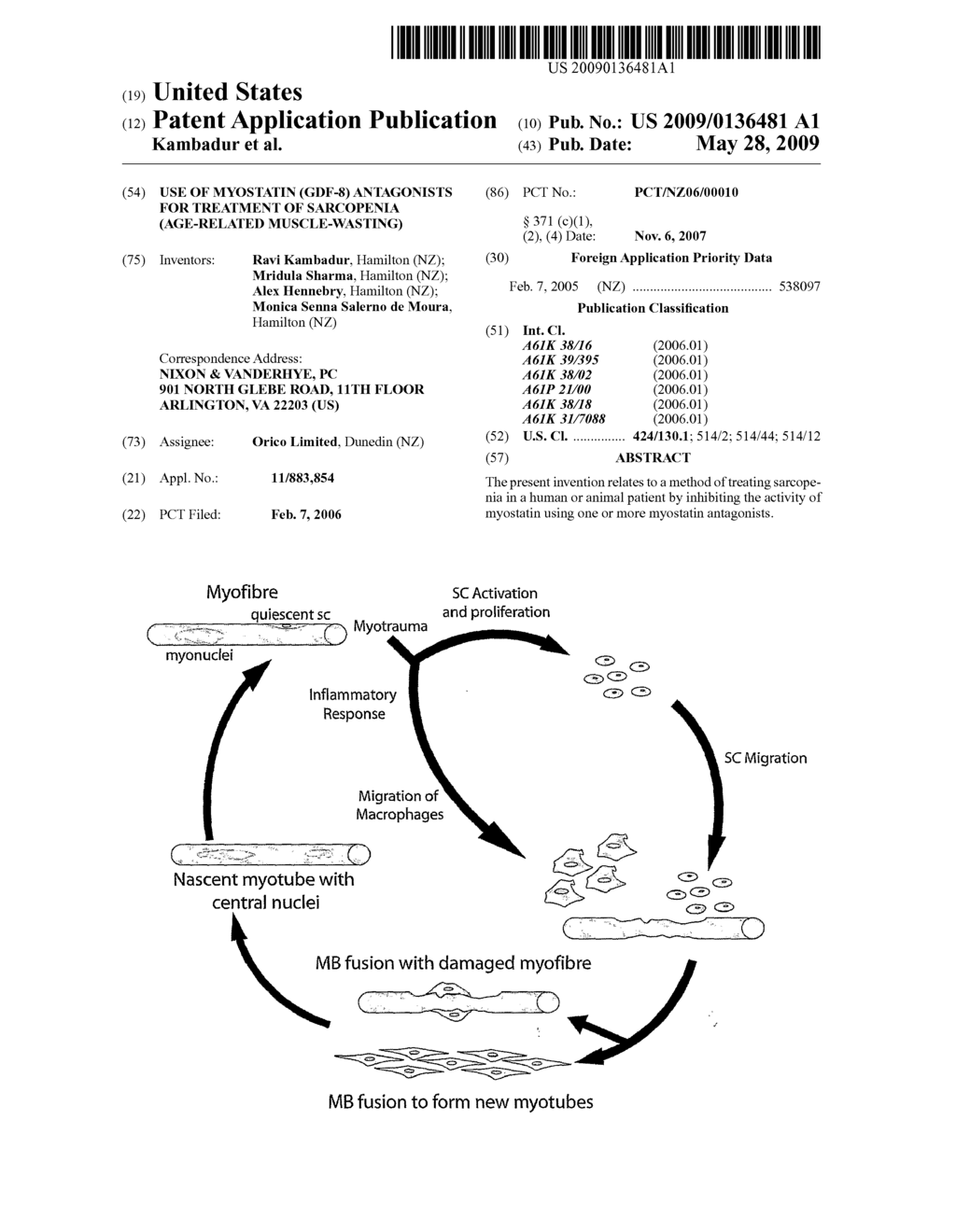 Use of Myostatin (GDF-8) Antagonists for Treatment of Sarcopenia (Age-Related Muscle-Wasting) - diagram, schematic, and image 01