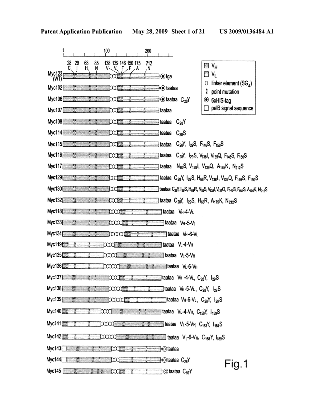 Novel antibody molecules and nucleic acids - diagram, schematic, and image 02