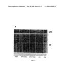 Biomarkers for human papilloma virus-associated cancer diagram and image