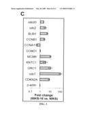 Biomarkers for human papilloma virus-associated cancer diagram and image