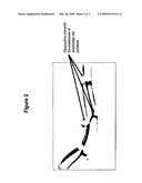 Tetracyclines for Treating Ocular Diseases and Disorders diagram and image