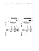 MITOCHONDRIAL LOCALIZATION OF MUC1 diagram and image