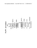 MITOCHONDRIAL LOCALIZATION OF MUC1 diagram and image